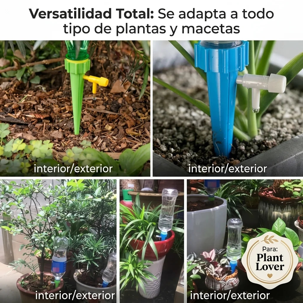 Si te olvidaste de regar, ellas seguirán vivas 🪴🎍Lleva 2 pack (12 estacas) por el precio de 1 pack $28.990.