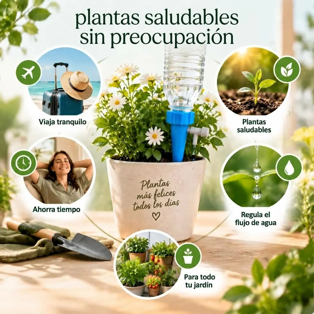 Si te olvidaste de regar, ellas seguirán vivas 🪴🎍Lleva 2 pack (12 estacas) por el precio de 1 pack $28.990.